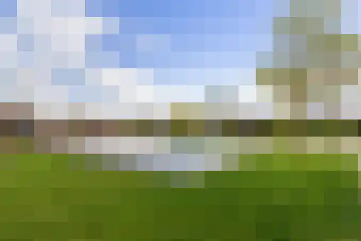 Gaffel 58 Nijkerk thumbnail 29