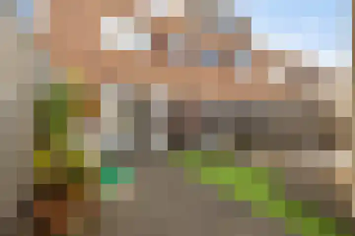 Gaffel 58 Nijkerk thumbnail 6