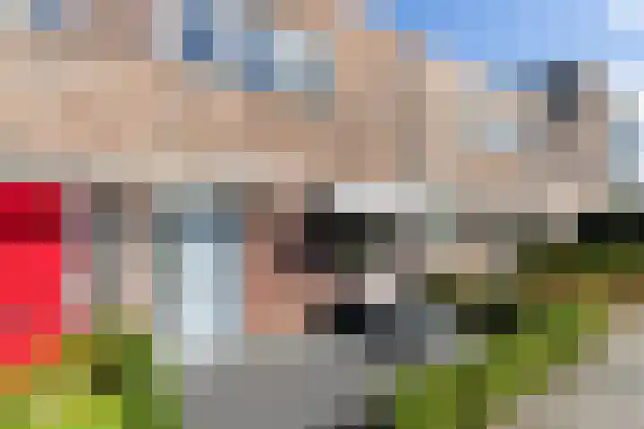 Gaffel 58 Nijkerk thumbnail 8