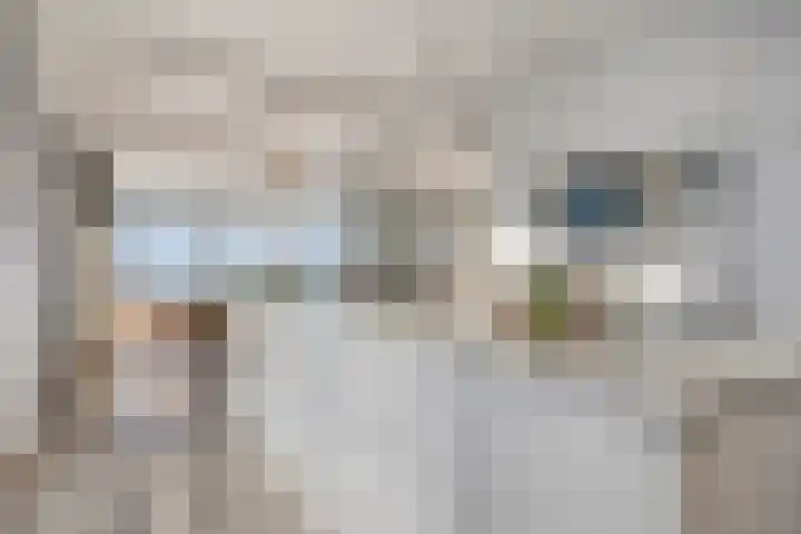 Gaffel 6 Bergen op Zoom thumbnail 11