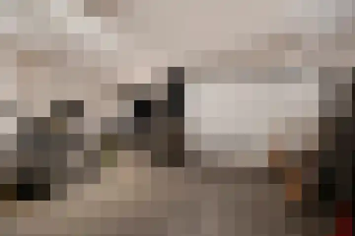 Gaffel 6 Bergen op Zoom thumbnail 15
