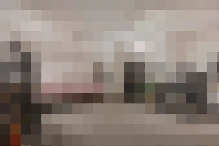 Gaffel 6 Bergen op Zoom thumbnail 16