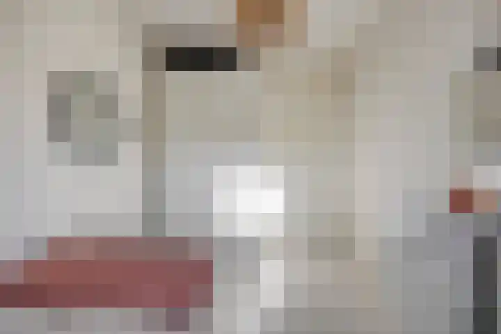Gaffel 6 Bergen op Zoom thumbnail 21