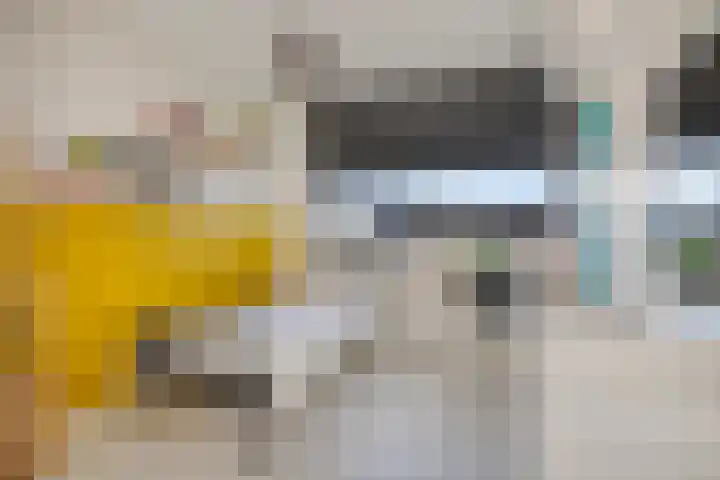 Gaffel 6 Bergen op Zoom thumbnail 22