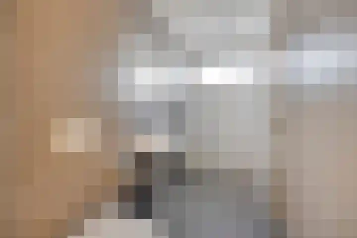 Gaffel 6 Bergen op Zoom thumbnail 27