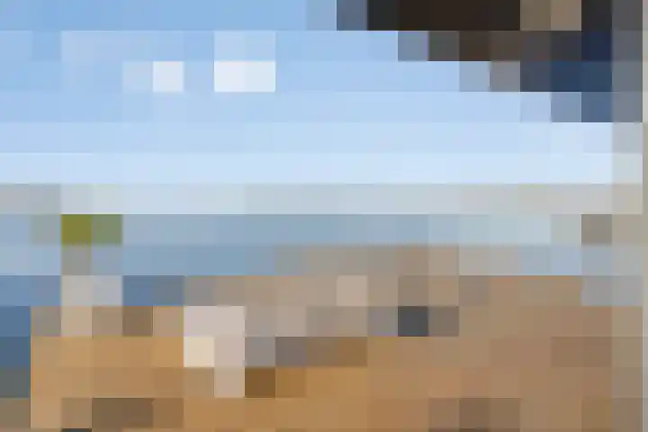 Gaffel 6 Bergen op Zoom thumbnail 30