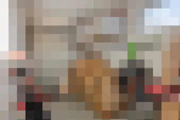 Gaffel 6 Bergen op Zoom thumbnail 34