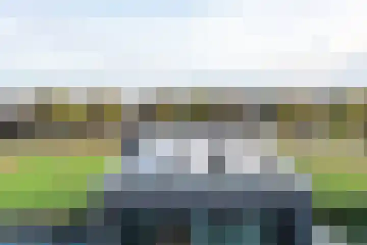Gaffel 6 Bergen op Zoom thumbnail 36