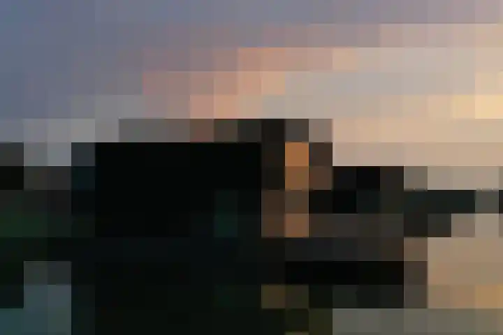 Gaffel 6 Bergen op Zoom thumbnail 37