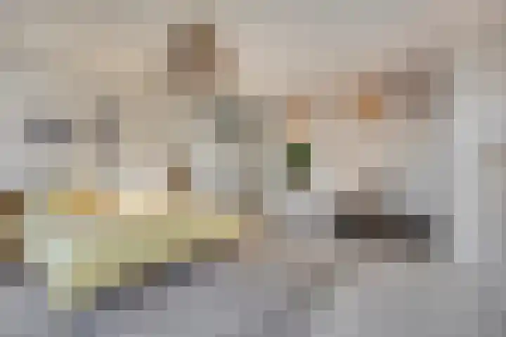 Gaffel 6 Bergen op Zoom thumbnail 4