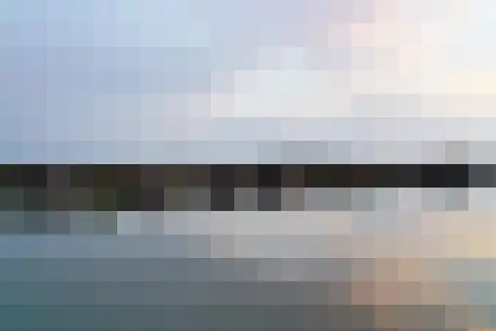 Gaffel 6 Bergen op Zoom thumbnail 42