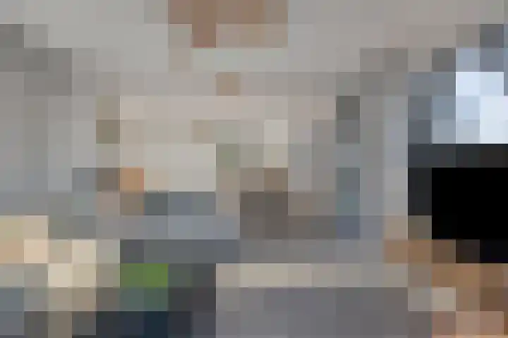 Gaffel 6 Bergen op Zoom thumbnail 8