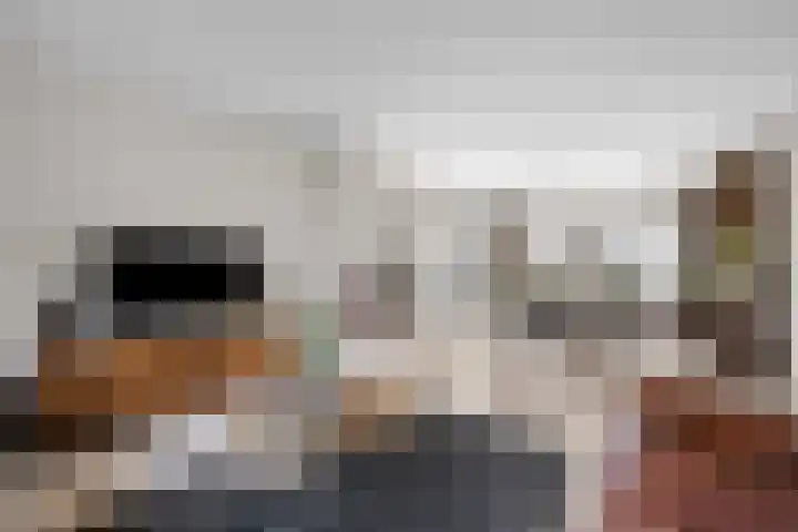 Gaffel 6 Klazienaveen thumbnail 13
