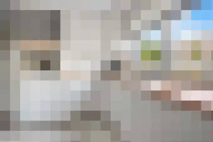 Gaffel 6 Klazienaveen thumbnail 17