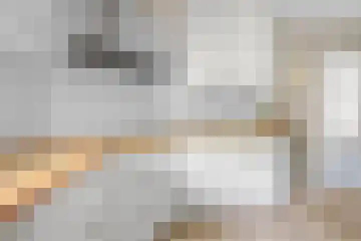 Gaffel 6 Klazienaveen thumbnail 18