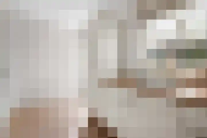 Gaffel 6 Klazienaveen thumbnail 21