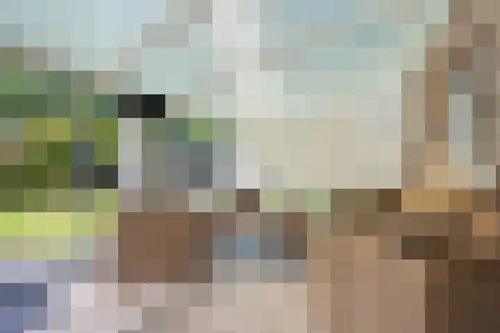 Gaffel 6 Klazienaveen thumbnail 24