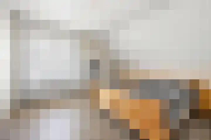 Gaffel 6 Klazienaveen thumbnail 28