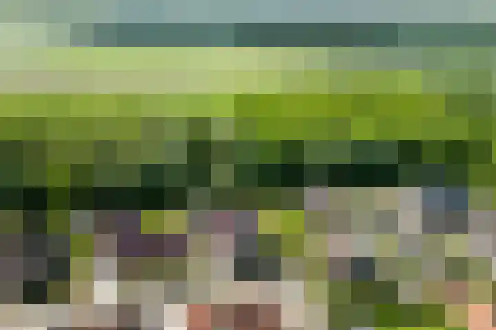 Gaffel 6 Klazienaveen foto 3