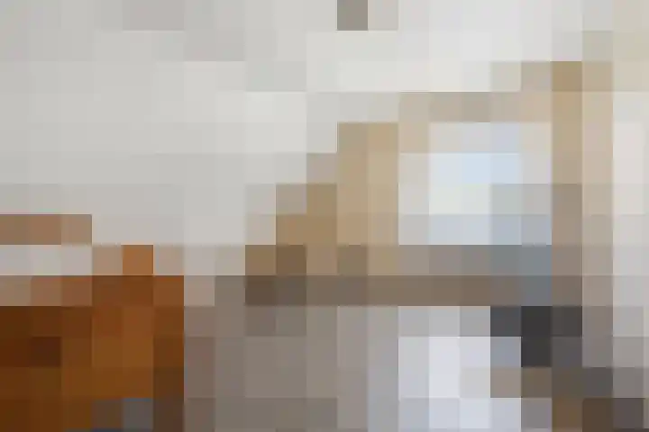 Gaffel 6 Klazienaveen thumbnail 30