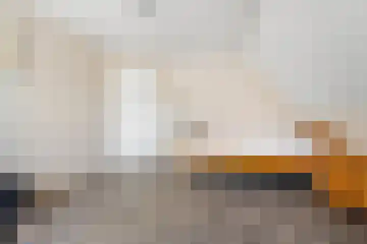 Gaffel 6 Klazienaveen thumbnail 31