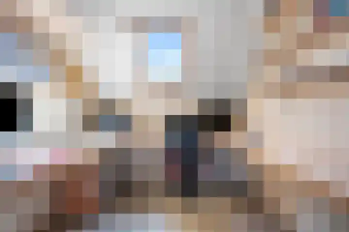 Gaffel 6 Klazienaveen thumbnail 32