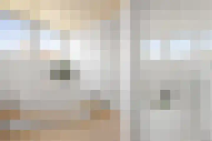 Gaffel 6 Klazienaveen thumbnail 33