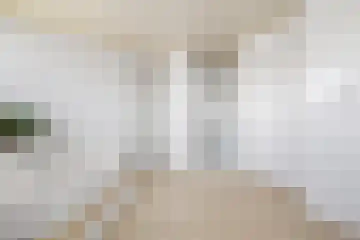Gaffel 6 Klazienaveen thumbnail 34