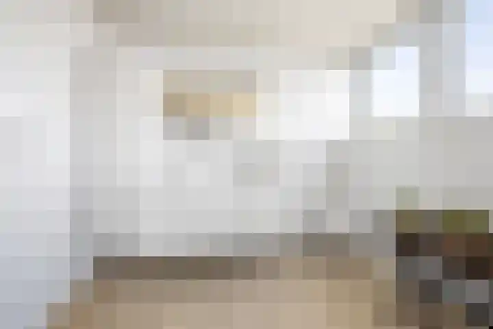 Gaffel 6 Klazienaveen thumbnail 35
