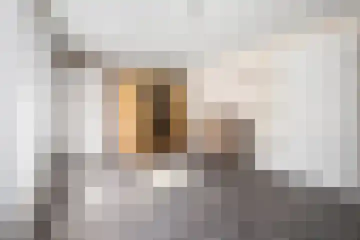 Gaffel 6 Klazienaveen thumbnail 37