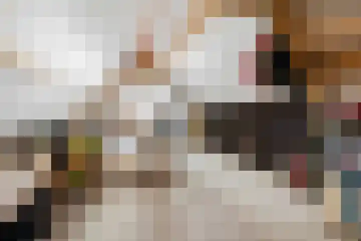 Gaffel 6 Klazienaveen thumbnail 39