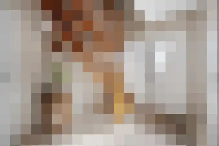 Gaffel 6 Klazienaveen thumbnail 4