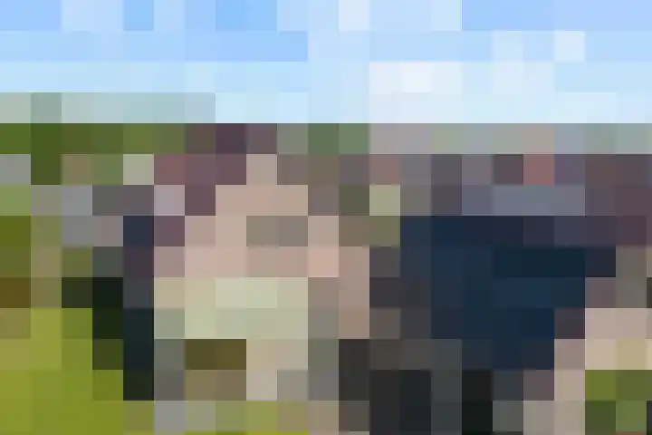 Gaffel 6 Klazienaveen thumbnail 40
