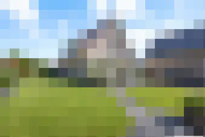 Gaffel 6 Klazienaveen thumbnail 41