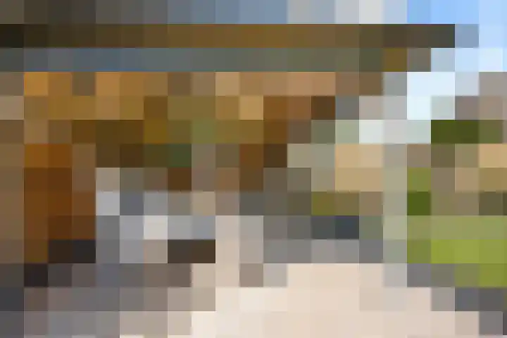 Gaffel 6 Klazienaveen thumbnail 43