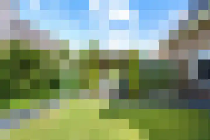 Gaffel 6 Klazienaveen thumbnail 44