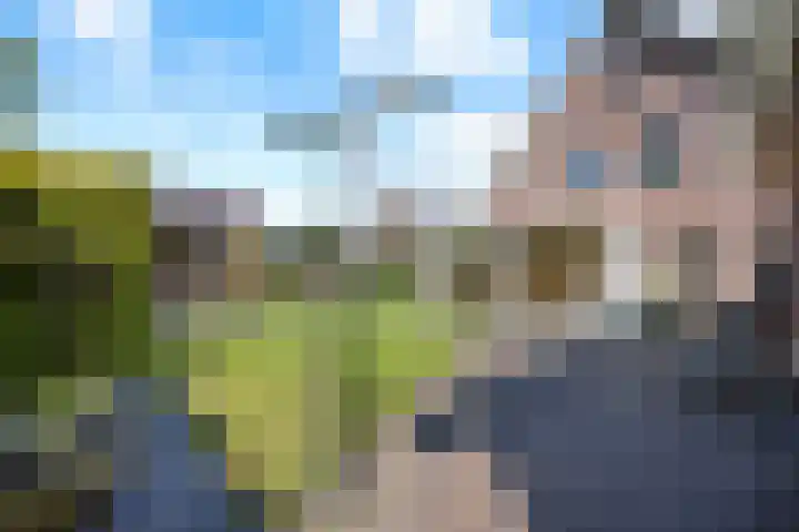 Gaffel 6 Klazienaveen thumbnail 45