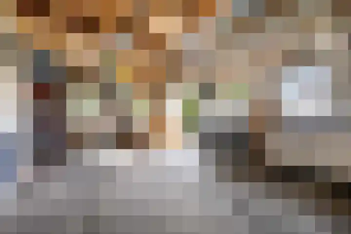 Gaffel 6 Klazienaveen thumbnail 46