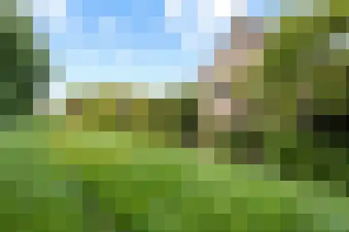 Gaffel 6 Klazienaveen thumbnail 47