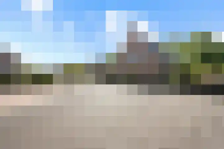 Gaffel 6 Klazienaveen thumbnail 49