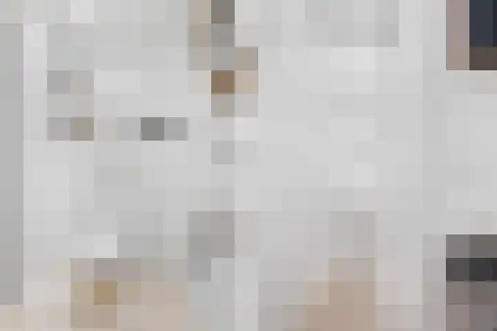 Gaffel 6 Klazienaveen thumbnail 6