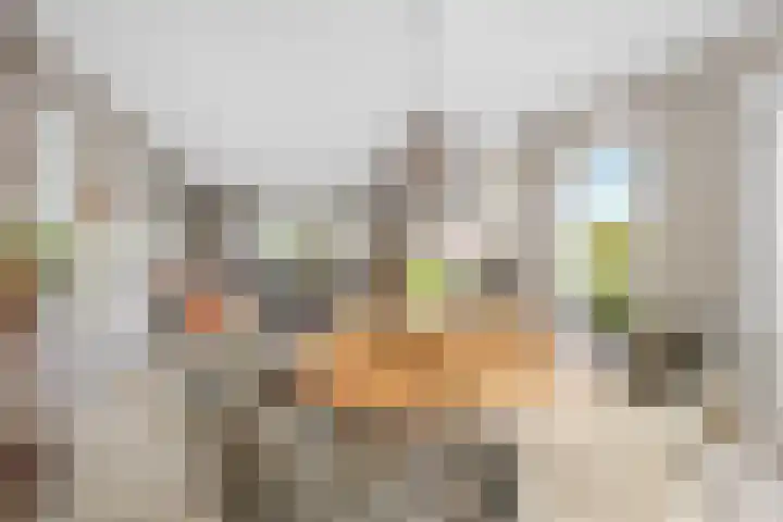 Gaffel 6 Klazienaveen thumbnail 8