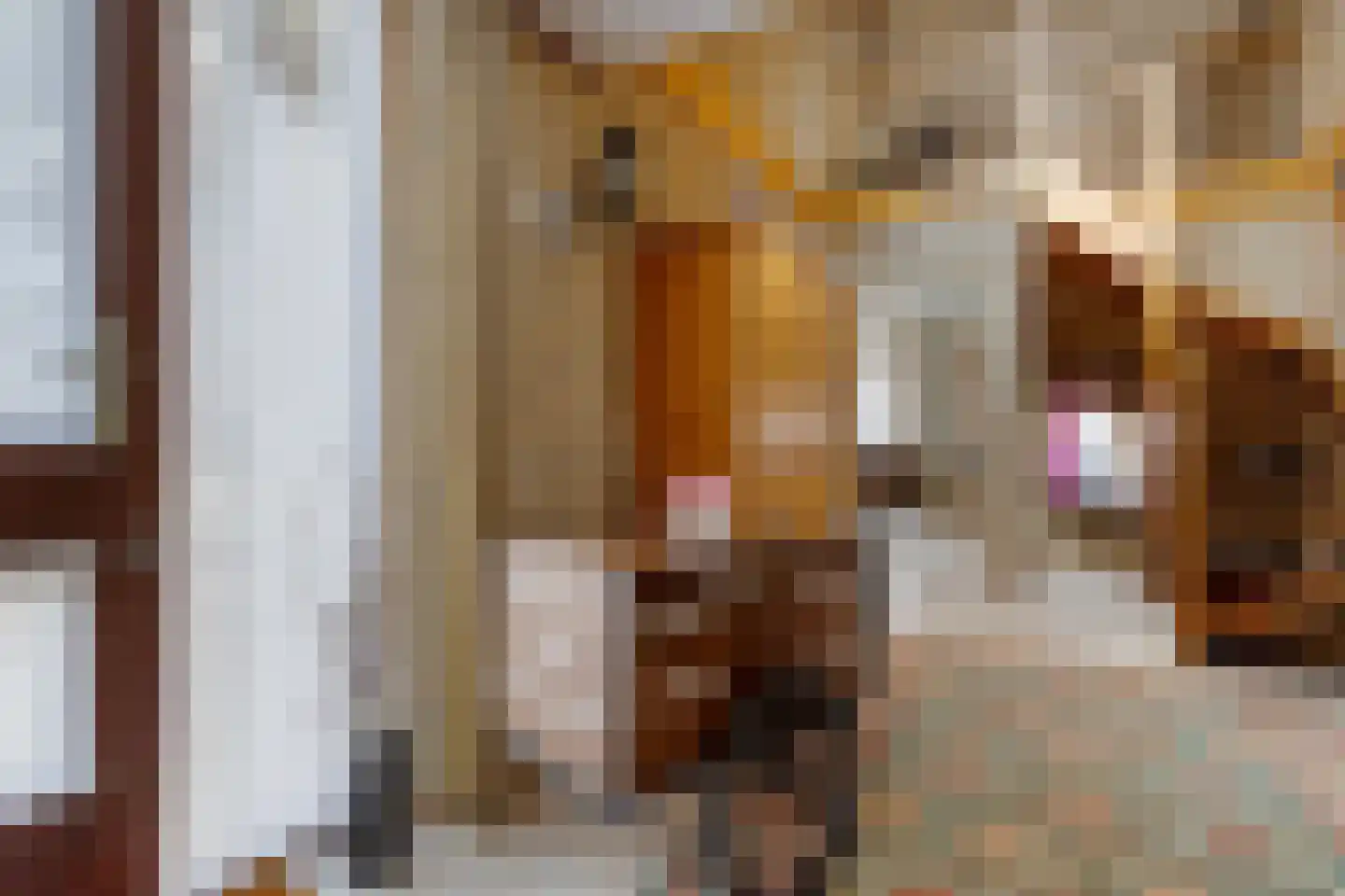 Gaffel 7 Joure thumbnail 12