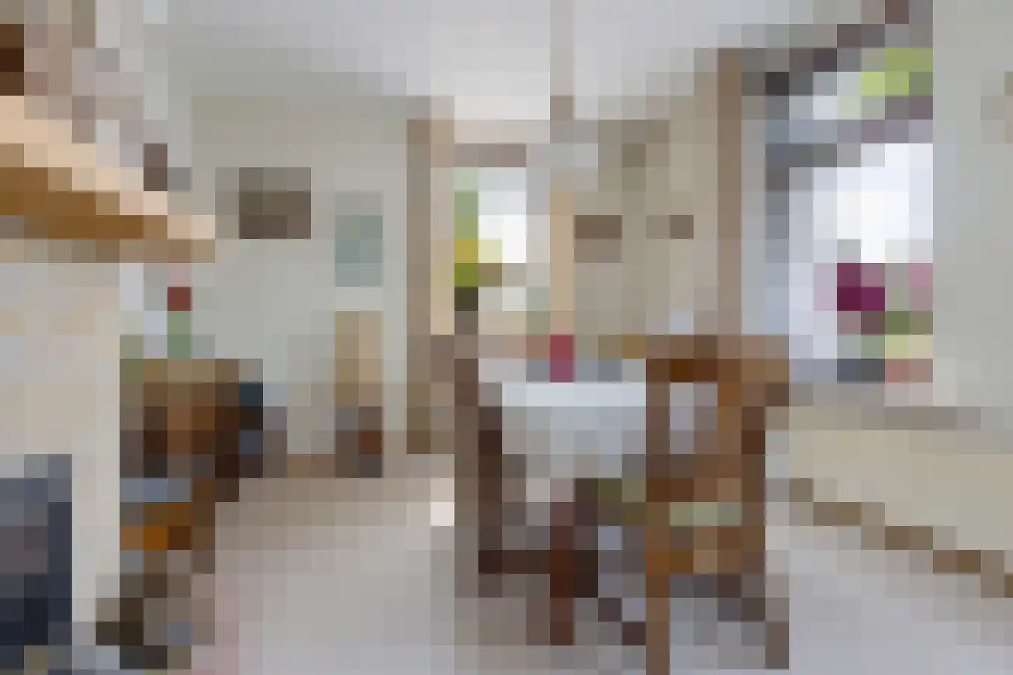 Gaffel 7 Joure thumbnail 14