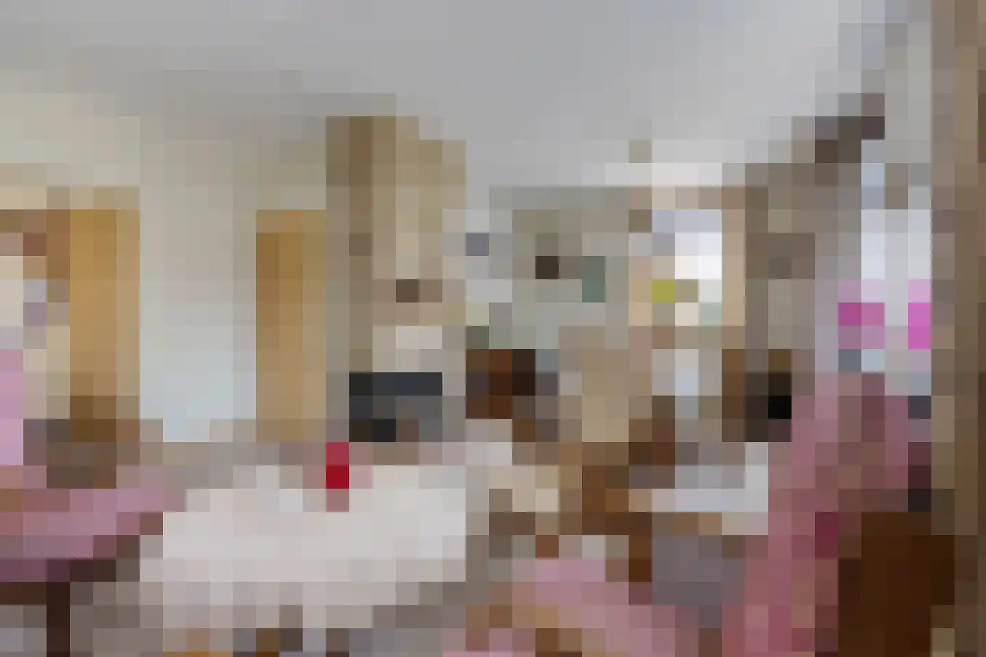 Gaffel 7 Joure thumbnail 16