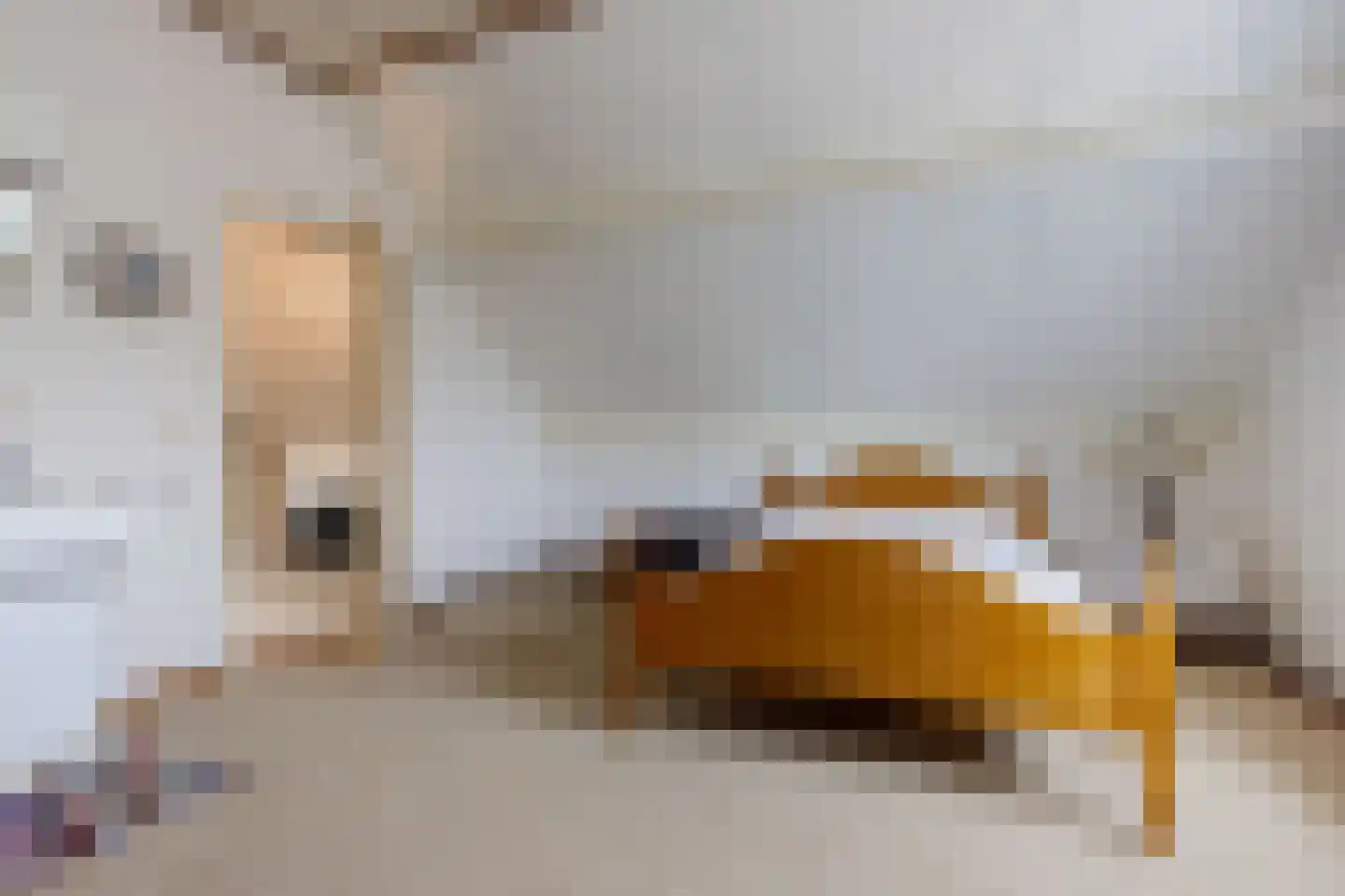 Gaffel 7 Joure thumbnail 27
