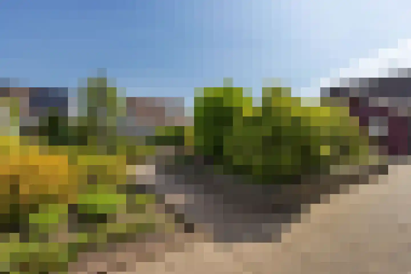 Gaffel 7 Joure thumbnail 35