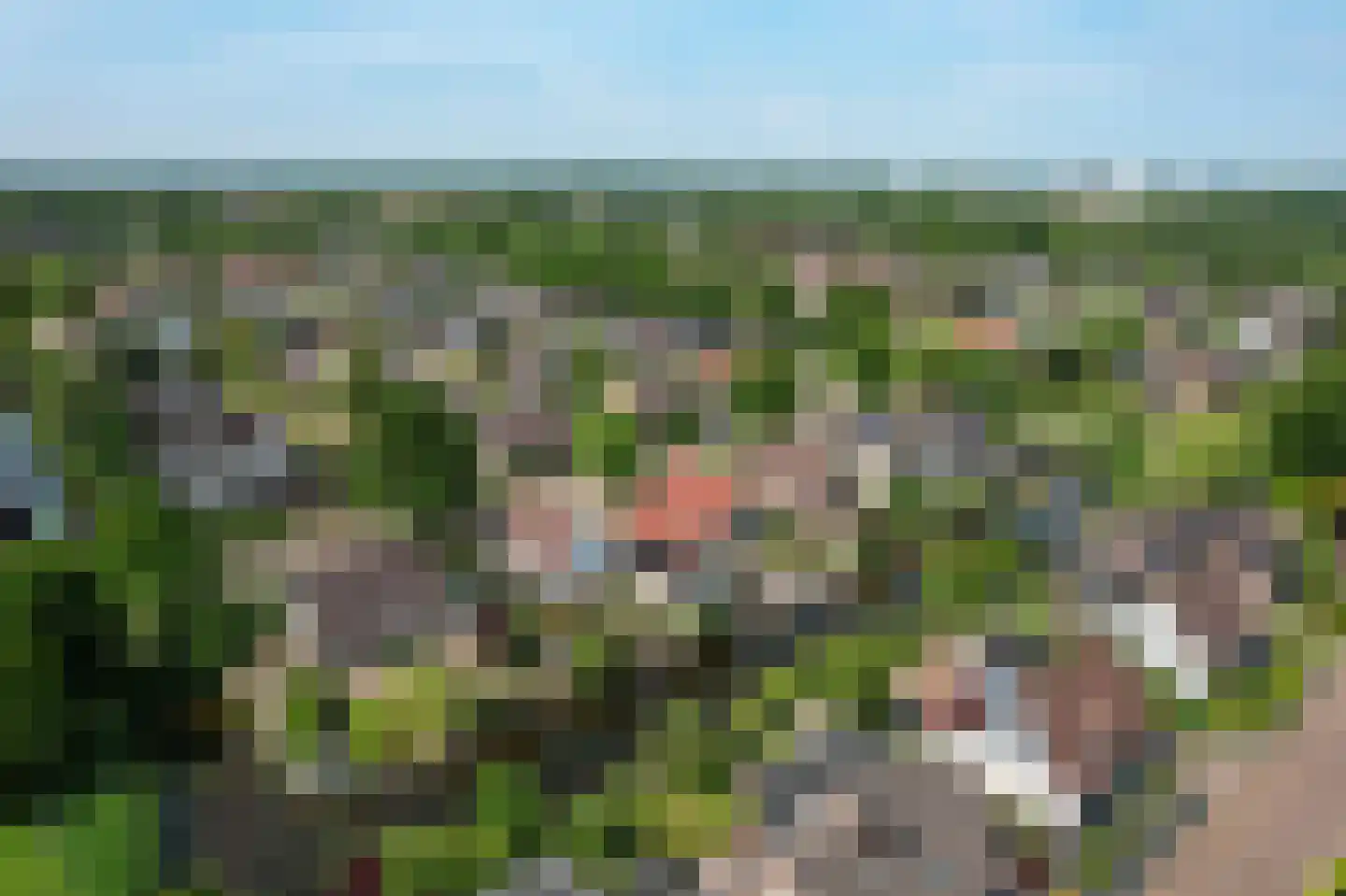 Gaffel 7 Joure thumbnail 43