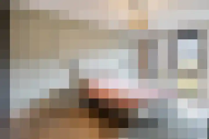 Gaffel 74 's-Hertogenbosch thumbnail 11