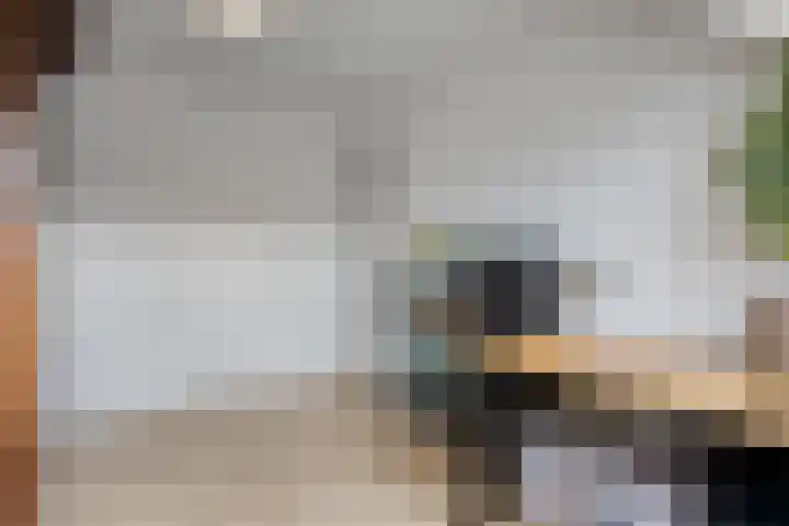 Gaffel 74 's-Hertogenbosch thumbnail 21